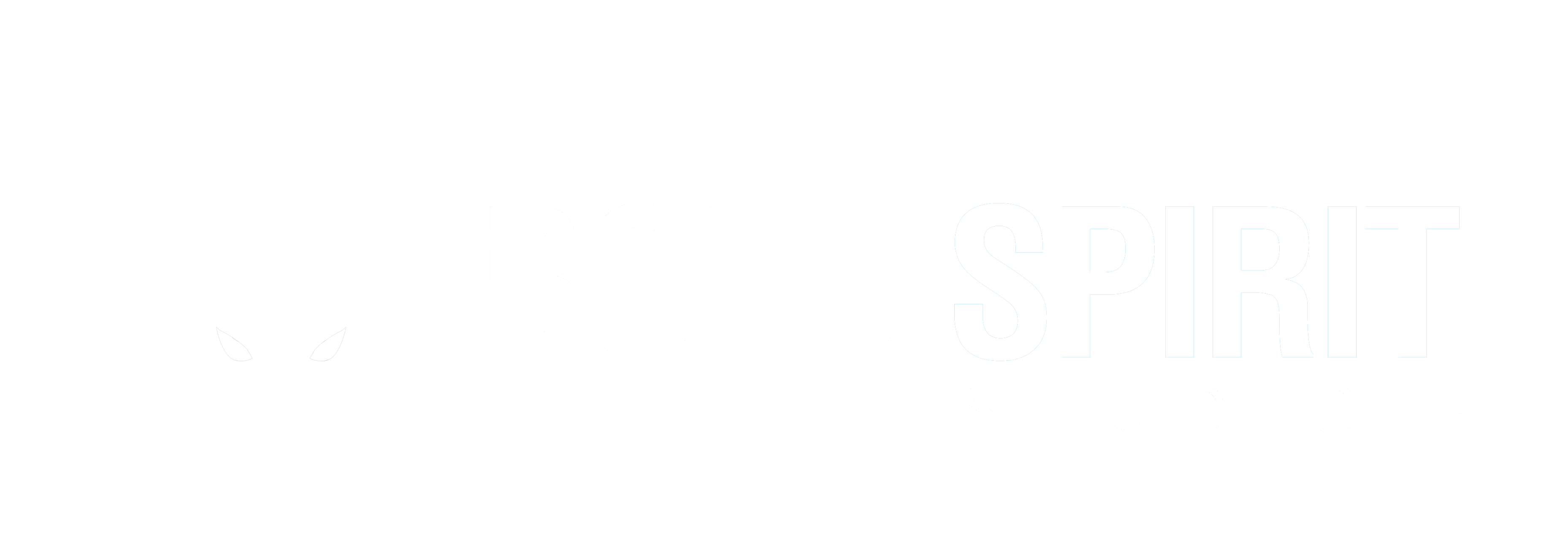Bold Spirit Game Studio